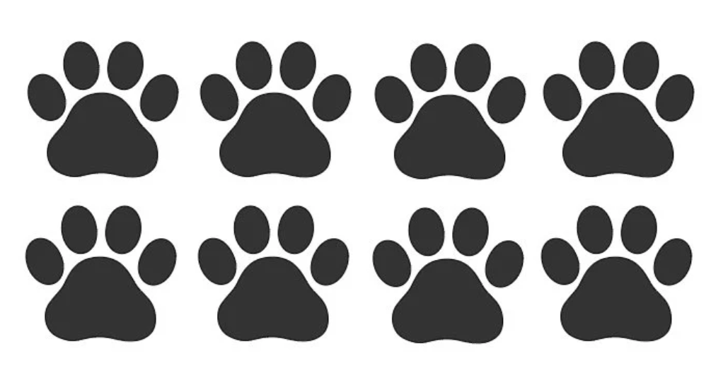 Paw Print Decals Vinyl Stickers Pack of 8 - Car, Dog or Cat Treat Jar, Mailbox, Window, Door, Car, Pet Rescue - DIY Projects & Crafts
